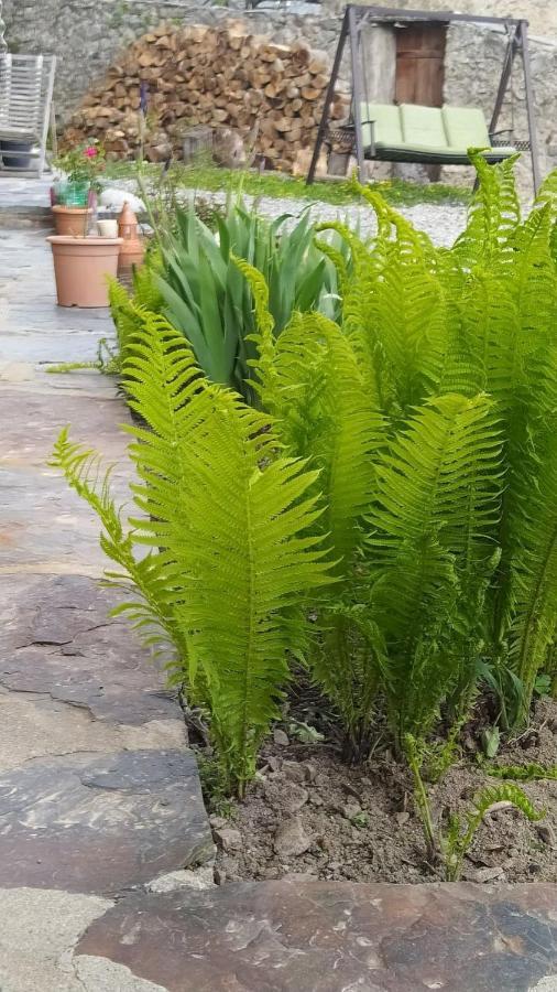 Bapsha Guesthouse Mestia Zewnętrze zdjęcie